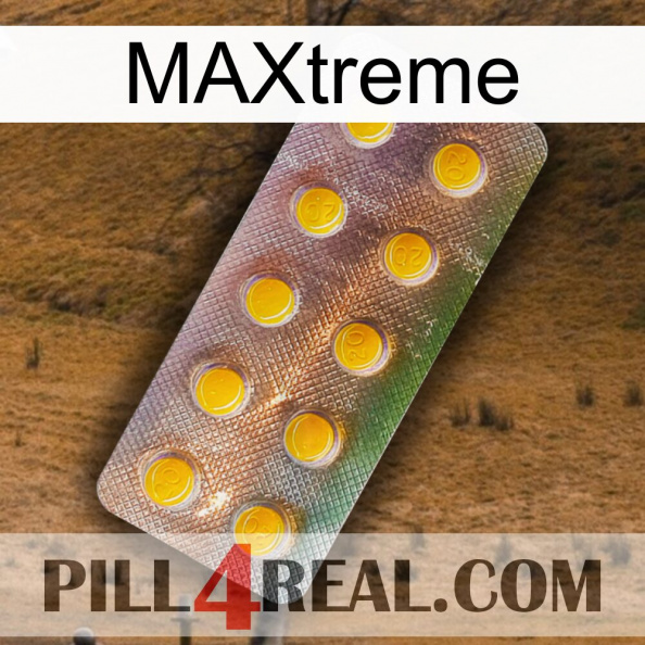 Maxtreme new11.jpg